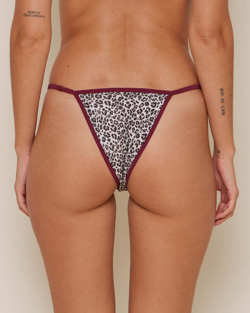 Pack de 3 Tangas ☆